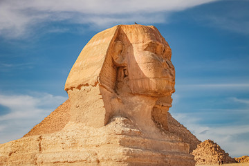 Circuito di Horus