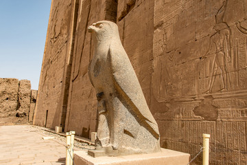 Circuito di Horus