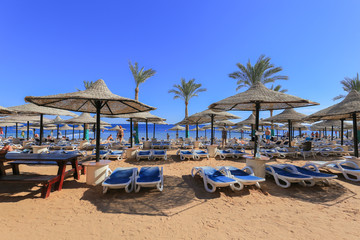 Marsa Alam: mondo sottomarino