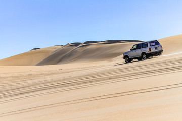 Safari nel Deserto Bianco
