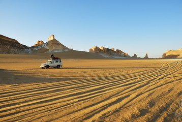 Safari nel Deserto Bianco