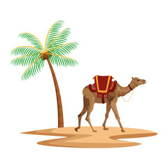 Safari nel Deserto Bianco